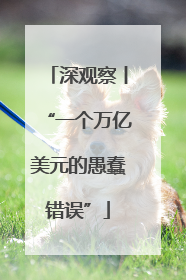 深观察丨“一个万亿美元的愚蠢错误”