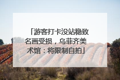 游客打卡没站稳致名画受损，乌菲齐美术馆：将限制自拍