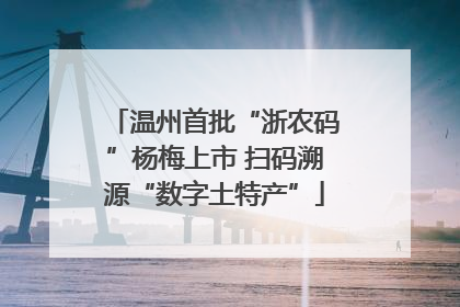 温州首批“浙农码”杨梅上市 扫码溯源“数字土特产”