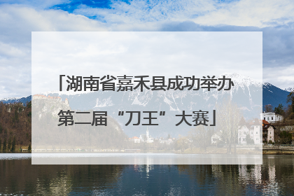湖南省嘉禾县成功举办第二届“刀王”大赛