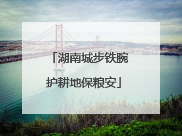 湖南城步铁腕护耕地保粮安
