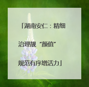 湖南安仁：精细治理靓“颜值” 规范有序增活力