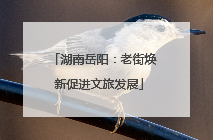 湖南岳阳：老街焕新促进文旅发展