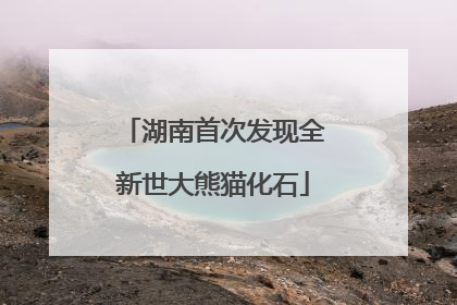 湖南首次发现全新世大熊猫化石
