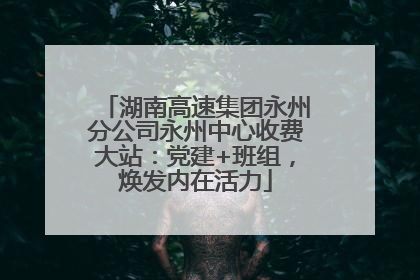 湖南高速集团永州分公司永州中心收费大站：党建+班组，焕发内在活力