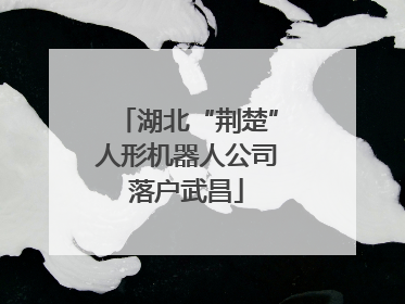 湖北“荆楚”人形机器人公司落户武昌