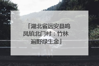 湖北省远安县鸣凤镇北门村：竹林遍野绿生金