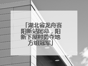 湖北省龙舟赛阳新站闭幕，阳新下屋村勇夺地方组冠军