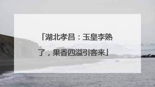 湖北孝昌：玉皇李熟了，果香四溢引客来