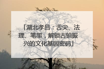 湖北孝昌：舌尖、法理、笔墨，解锁古镇振兴的文化基因密码
