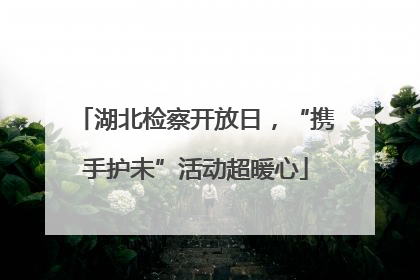 湖北检察开放日，“携手护未”活动超暖心