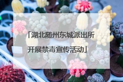 湖北随州东城派出所开展禁毒宣传活动