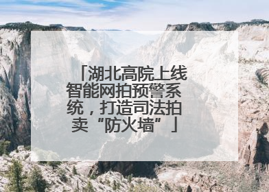 湖北高院上线智能网拍预警系统，打造司法拍卖“防火墙”