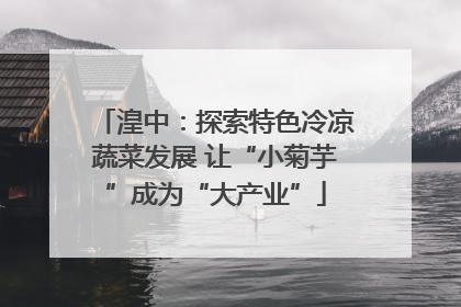 湟中：探索特色冷凉蔬菜发展 让“小菊芋”成为“大产业”