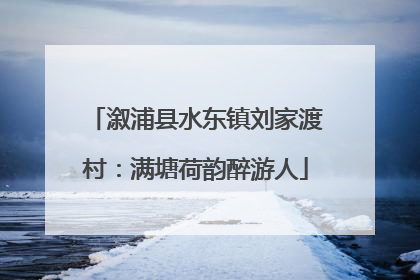 溆浦县水东镇刘家渡村：满塘荷韵醉游人