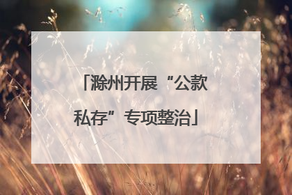 滁州开展“公款私存”专项整治