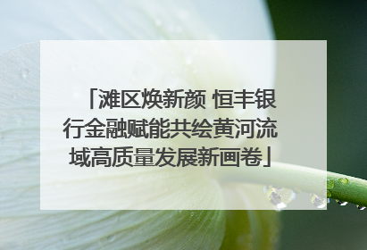 滩区焕新颜 恒丰银行金融赋能共绘黄河流域高质量发展新画卷