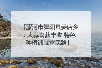 漯河市舞阳县姜店乡：大蒜喜获丰收 特色种植铺就富民路
