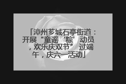 漳州芗城石亭街道：开展“童谣‘粽’动员，欢乐庆双节” 过端午，庆六一活动