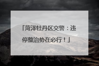 菏泽牡丹区交警：违停整治势在必行！