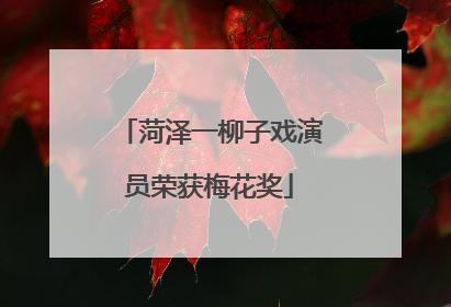 菏泽一柳子戏演员荣获梅花奖