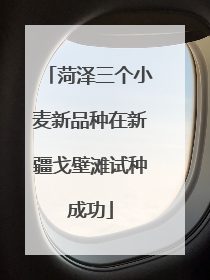 菏泽三个小麦新品种在新疆戈壁滩试种成功