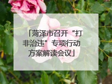 菏泽市召开“打非治违”专项行动方案解读会议