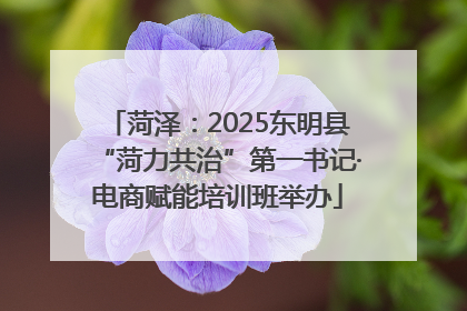 菏泽：2025东明县“菏力共治”第一书记·电商赋能培训班举办
