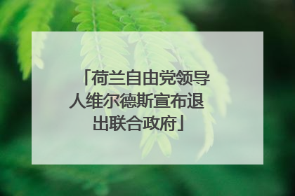 荷兰自由党领导人维尔德斯宣布退出联合政府
