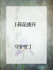 荷花盛开守护忙