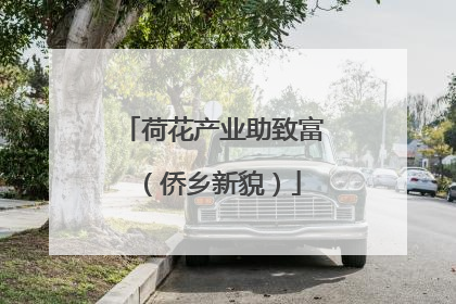荷花产业助致富（侨乡新貌）