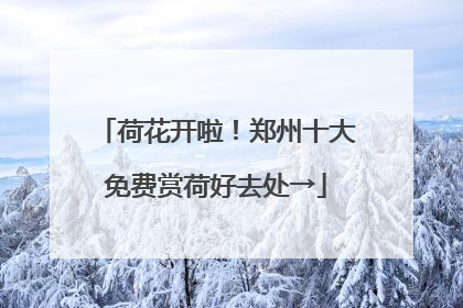 荷花开啦！郑州十大免费赏荷好去处→