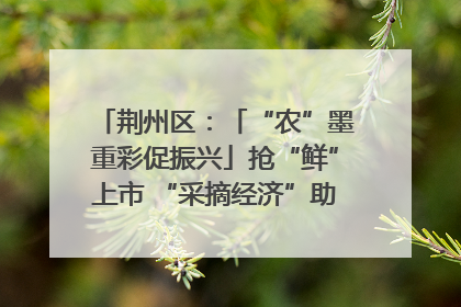 荆州区：「“农”墨重彩促振兴」抢“鲜”上市 “采摘经济”助农“甜蜜增收”