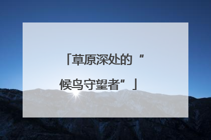 草原深处的“候鸟守望者”