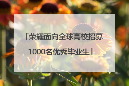 荣耀面向全球高校招募1000名优秀毕业生