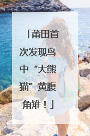 莆田首次发现鸟中“大熊猫”黄腹角雉！