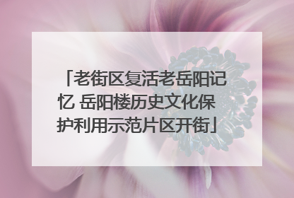 老街区复活老岳阳记忆 岳阳楼历史文化保护利用示范片区开街