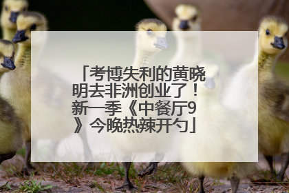 考博失利的黄晓明去非洲创业了！新一季《中餐厅9》今晚热辣开勺