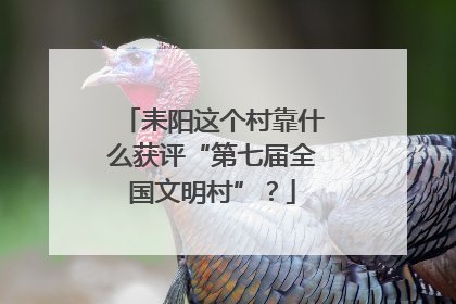 耒阳这个村靠什么获评“第七届全国文明村”？