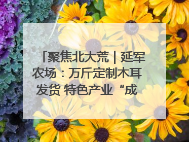 聚焦北大荒｜延军农场：万斤定制木耳发货 特色产业“成绩单”亮眼