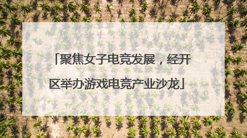 聚焦女子电竞发展，经开区举办游戏电竞产业沙龙