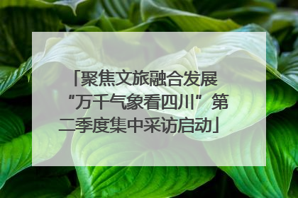 聚焦文旅融合发展 “万千气象看四川”第二季度集中采访启动