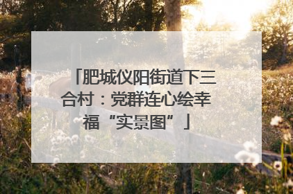肥城仪阳街道下三合村：党群连心绘幸福“实景图”