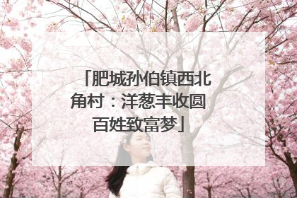 肥城孙伯镇西北角村：洋葱丰收圆百姓致富梦