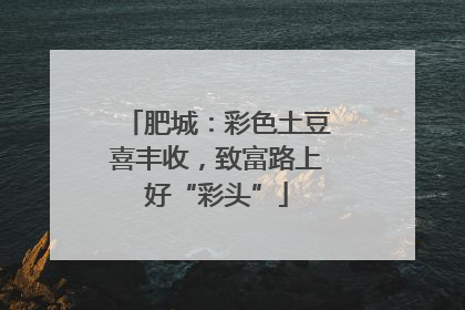 肥城：彩色土豆喜丰收，致富路上好“彩头”