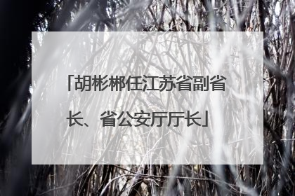 胡彬郴任江苏省副省长、省公安厅厅长