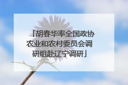 胡春华率全国政协农业和农村委员会调研组赴辽宁调研