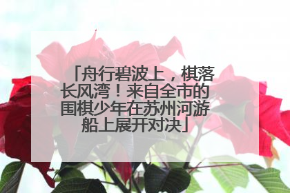 舟行碧波上，棋落长风湾！来自全市的围棋少年在苏州河游船上展开对决