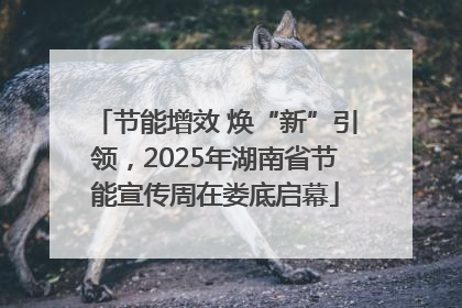 节能增效 焕“新”引领，2025年湖南省节能宣传周在娄底启幕