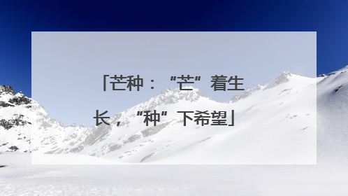 芒种：“芒”着生长，“种”下希望